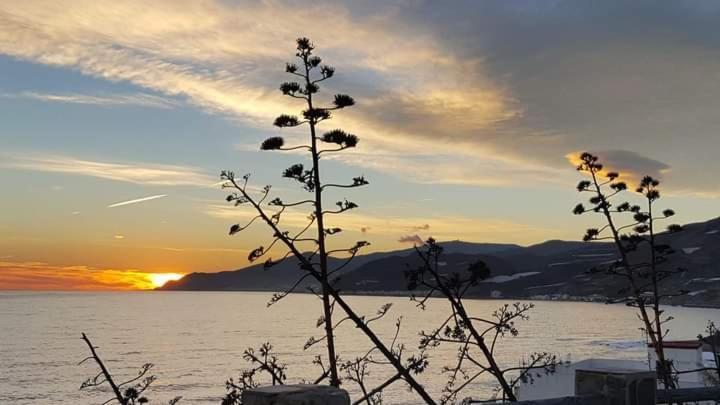 Vistas Al Mar Mediterraneo Melicena Eksteriør billede